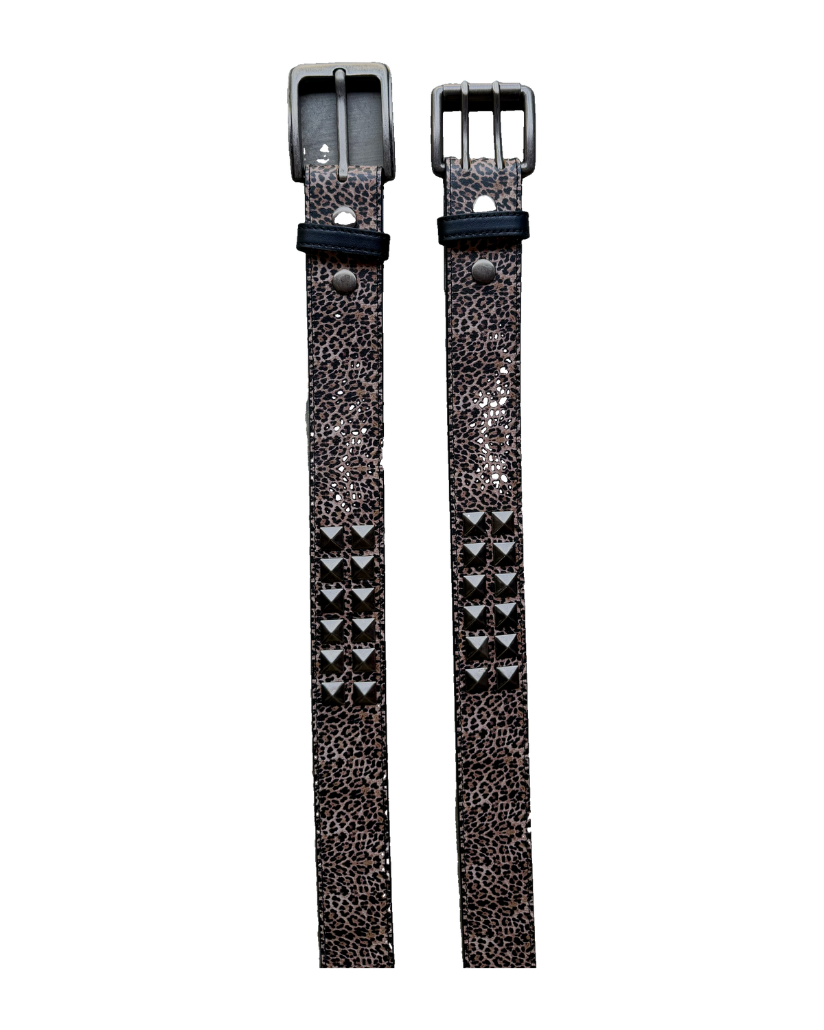 Thorned Belt